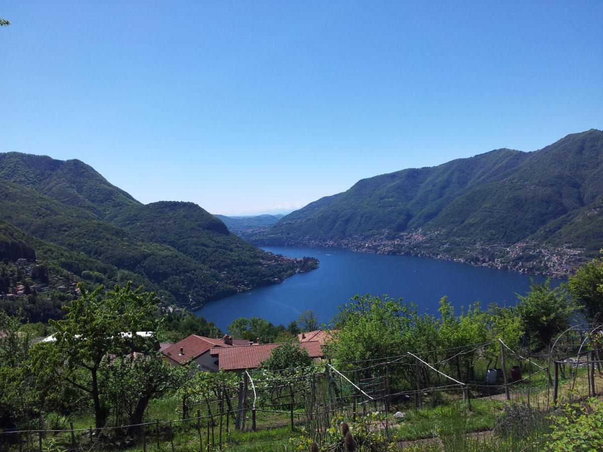 B&B Le Magnolie Faggeto Lario Εξωτερικό φωτογραφία
